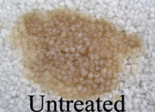 Untreated Carpet