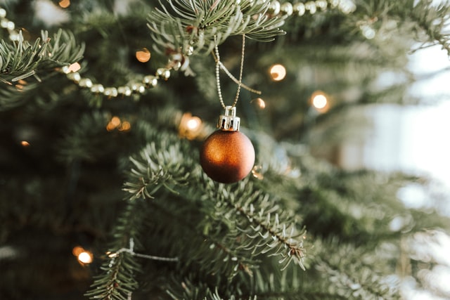 Christmas trees can develop mold that can trigger allergies, which is why calling a mold remediation company is important.