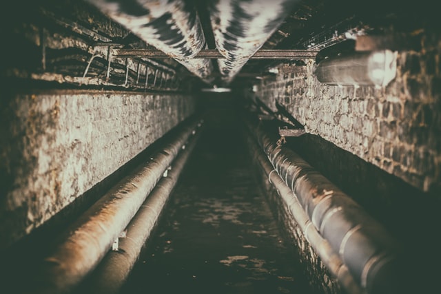 The most common signs of a sewage backup are foul odors and clogged drains.