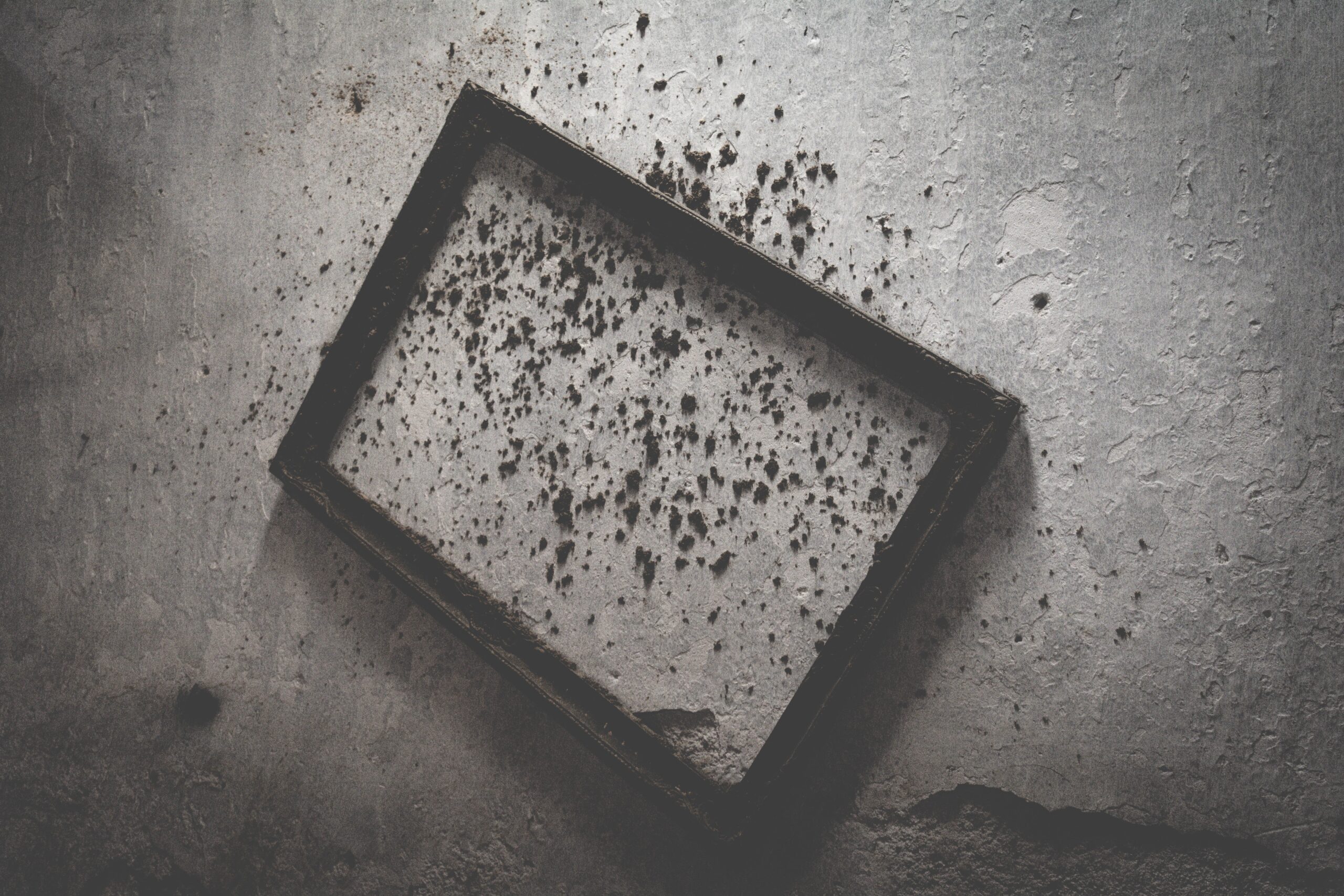 How Can I Get Rid of Mold Inside My Home?