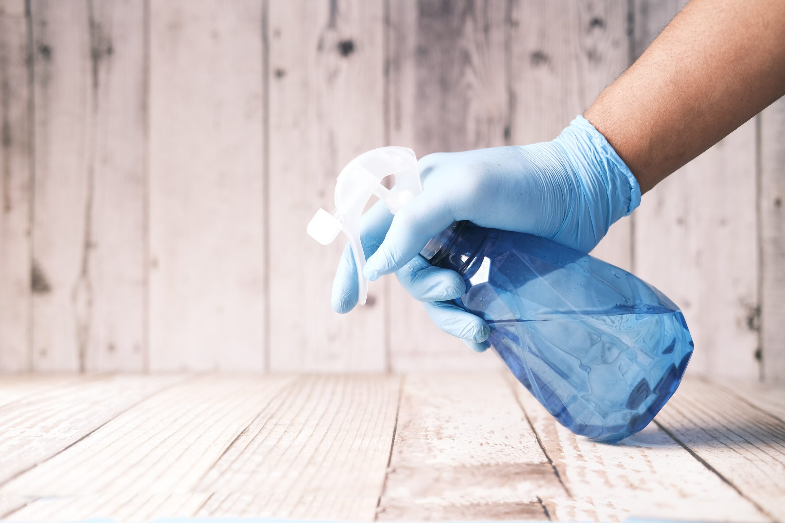 If you have mold inside your home, a mold remediation technician can come in and treat it at the source.